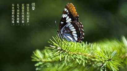 惊蛰的由来及民间习俗！