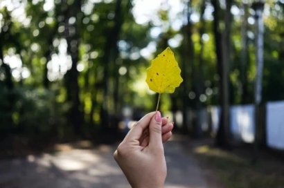  不必把太多人，请进生命里（深度好文）