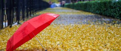  跟着雨伞学做人，跟着雨靴学做事！