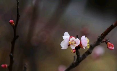  余生，心静如水，自在随缘