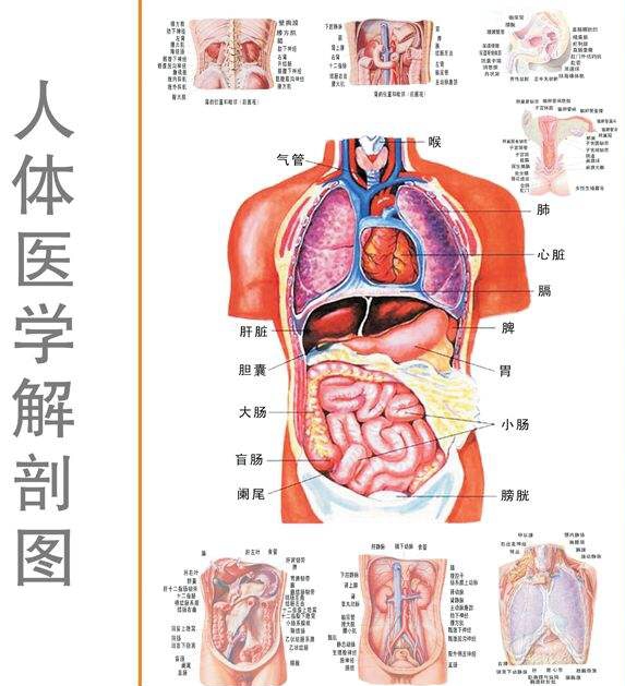  养生：人体9大器官，最怕这9样东西