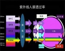 夏日炎炎，眼睛也要防晒