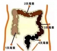 6个动作清宿便，口气色斑大肚腩全没了！